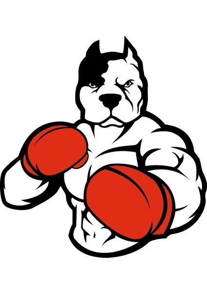 Sticker Master Boxer Dog Sticker Oto Motor Pc Etiket