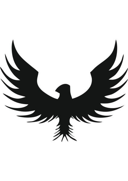 Sticker Master Kartal Sticker Oto Motor Pc Etiket