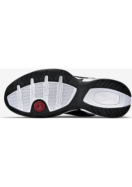 AırMonarch Iv modelleri