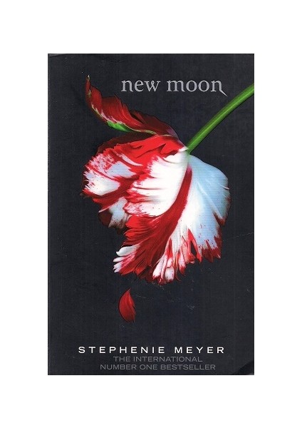 New Moon