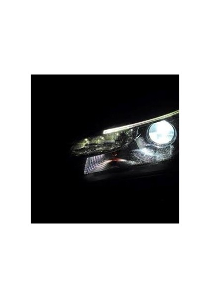H1 12V 55W Beyaz Işık 5000K