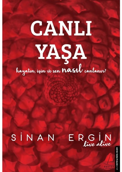 Canlı Yaşa - Sinan Ergin