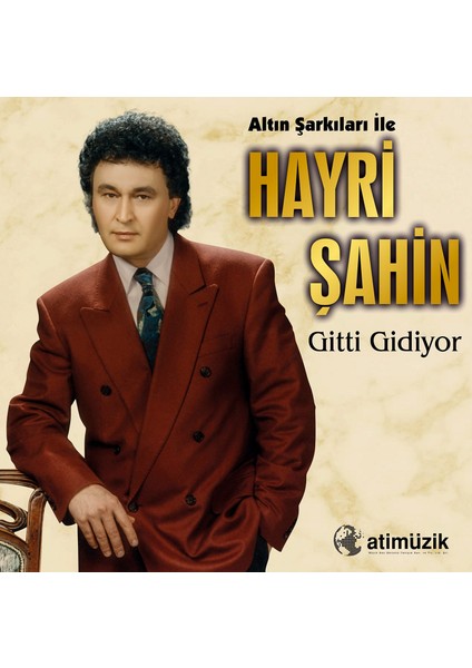 Hayri Şahin - Gitti Gidiyor (Plak)