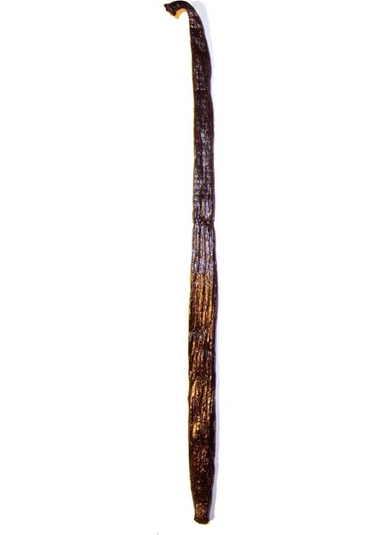 Çubuk Vanilya Çubuğu 14-16 cm 1 Adet