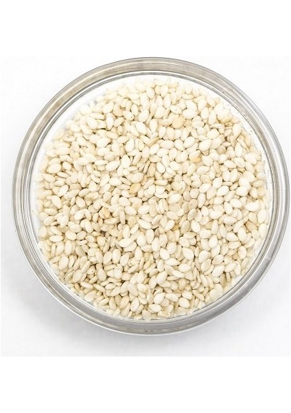 Beyaz Susam 100 gr fiyatları