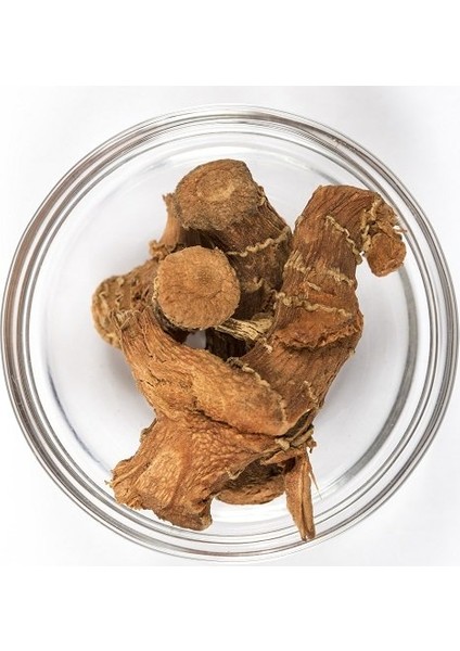 Havlıcan Kök 100 gr fiyatları