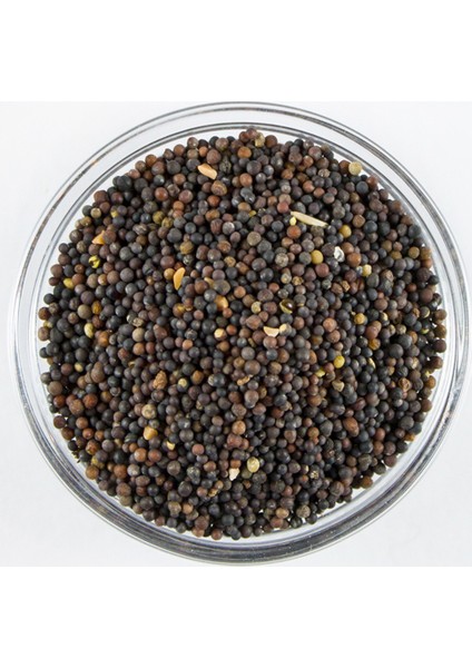 Kinoa Tohumu Siyah 100 gr fiyatları