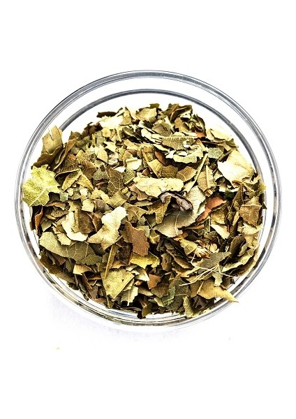 Avokado Yaprağı 50 gr