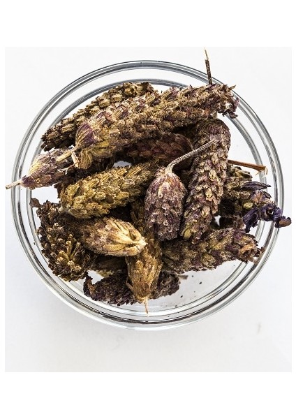 Karabaş Otu 50 gr fiyatları