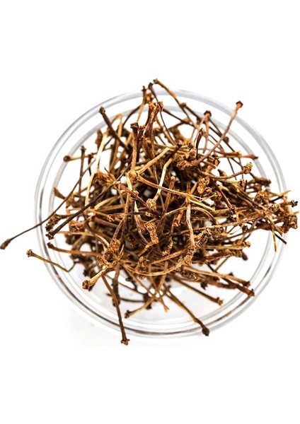 Kiraz Sapı 50 gr fiyatları