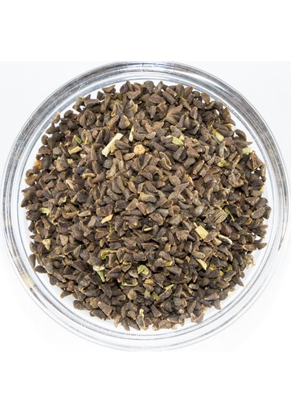 Üzerlik Tohumu 50 gr fiyatları