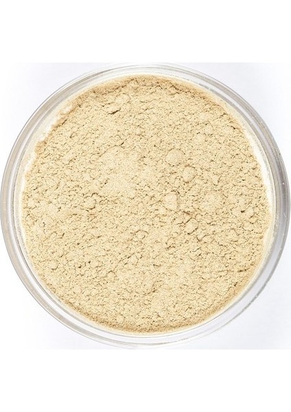 Sarımsak Toz 100 gr fiyatları