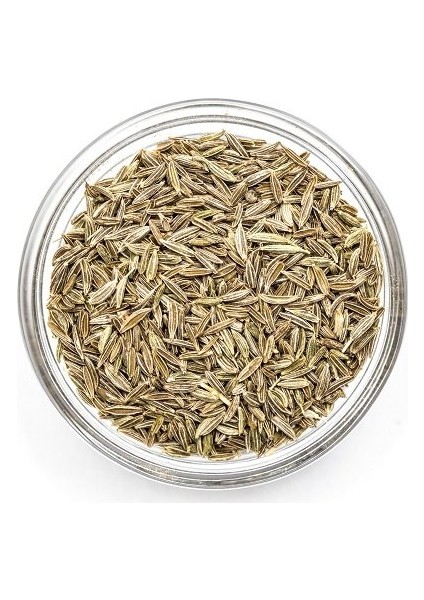 Kimyon Tane 100 gr fiyatları