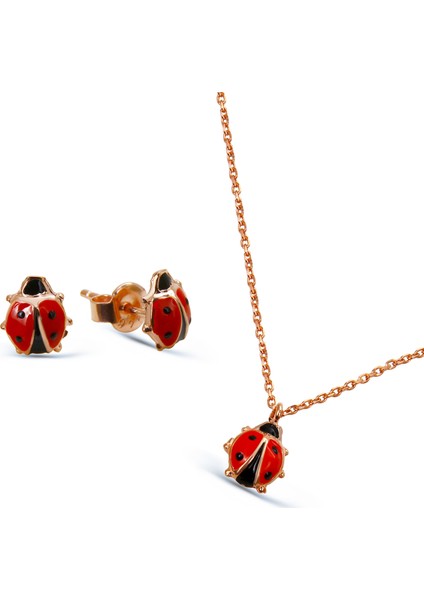 Gümüş Uğur Böceği Set