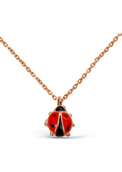 Gümüş Uğur Böceği Set fiyatları