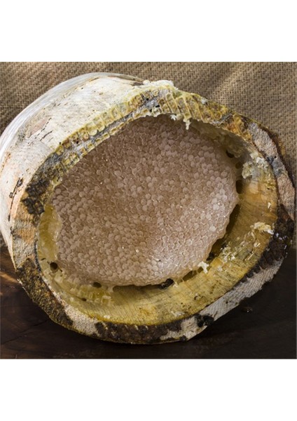 Bingöl Karakovan Kütük Balı 500 gr