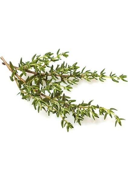 Kekik 25gr'lık 1 paket
