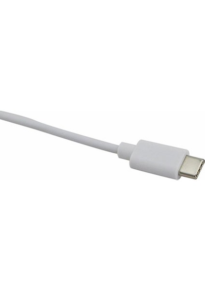 Oem Type-C USB 3.1 To Ethernet Lan Adaptör + 3 Port USB 2.0 HUB