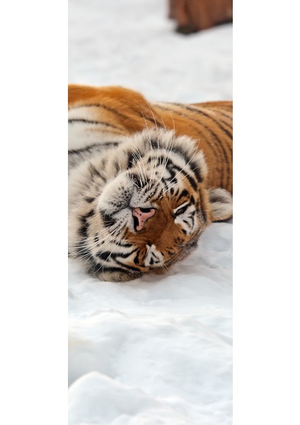 Buzdolabı Kapağı Kaplama Sticker 0010 fiyatları