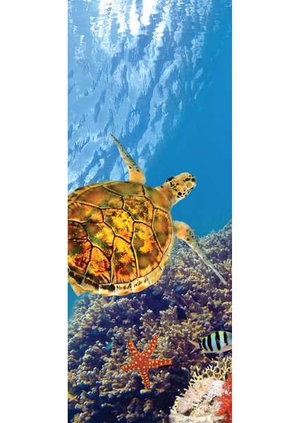Buzdolabı Kapağı Kaplama Sticker 0067
