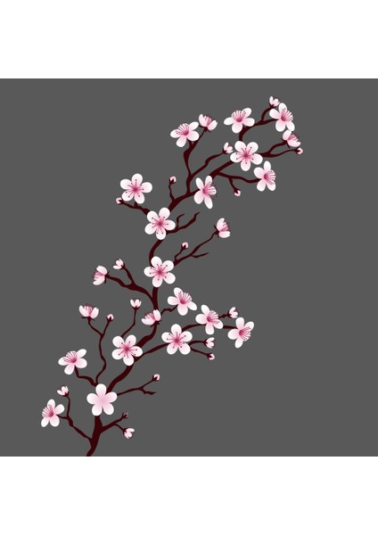 Bulaşık Makinesi Kapak Sticker 0005 fiyatları