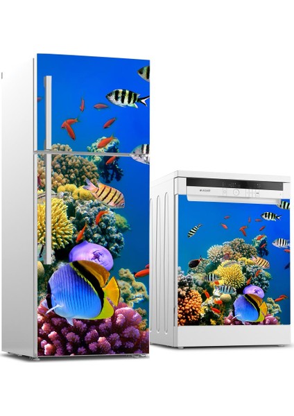 Buzdolabı ve Bulaşık Makinesi Takım Sticker 0079