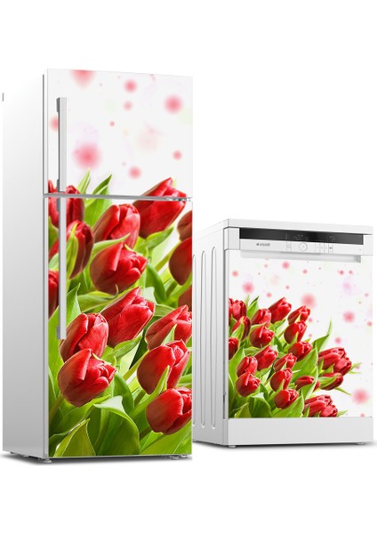 Buzdolabı ve Bulaşık Makinesi Takım Sticker 0094
