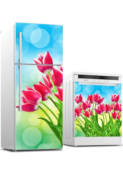 Buzdolabı ve Bulaşık Makinesi Takım Sticker 0115