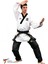 ''DAN'' Taekwondo Erkek Poomsae Elbisesi 1