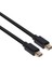 Mini DPPort 1.2 HBR2 Kablo M/M 2m/6,56ft CAC-2161 1