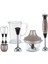 MasterBlend Activflow Power Blender Seti Gümüş 700W 1
