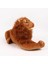 Peluş Aslan Aol-3 35 Cm 2