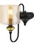 AP-4161-1E Eskitme Kaplama Aplik E27 Metal Cam 14x18cm 1