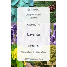 Lofty Lavanta Extra Cam Şişe Oda ve Çamaşır Spreyi Vegan Içerik / Oda Parfümü / Oda Kokusu Lüx / Lavander