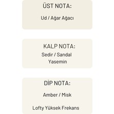 Lofty Yüksek Frekans Uçucu Yağ Buhurdanlık Esansı Konsantre Oda Kokusu Esans Buhur Yağı 10 ml