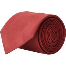 ALTINYILDIZ CLASSICS Erkek Bordo Bordo Nano Kravat