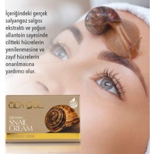 Ab-I Gül Salyangoz Kremi 45 ml