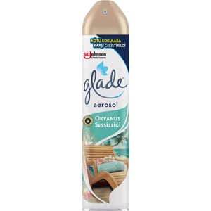 Aerosol Oda Kokusu Okyanus 300 ml