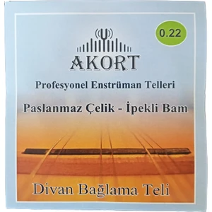 Akort Divan Saz Teli Paslanmaz 0.22 Bam Bamlı
