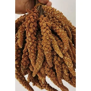 Green Pet Doğal Kızıl Dal Darı 500 gr