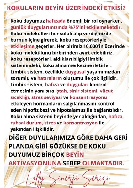Konsantrasyon - Odaklanma Sinerji Karışım Esansiyel Uçucu Yağ Buhurdanlık Yağı Aromaterapi Difüzör,