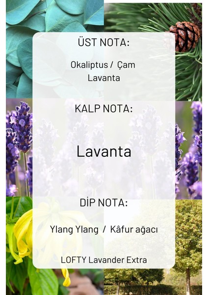 Lavanta Extra Cam Şişe Oda ve Çamaşır Spreyi Vegan Içerik / Oda Parfümü / Oda Kokusu Lüx / Lavander