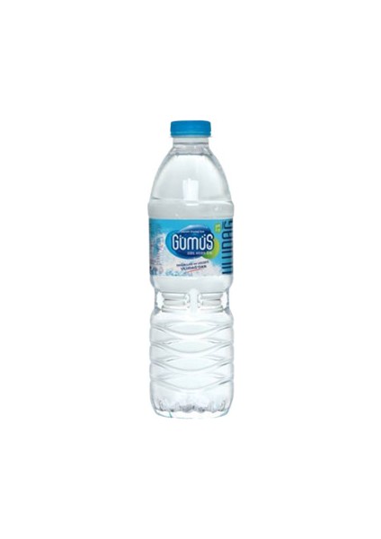 Gümüş Su (500 Ml)