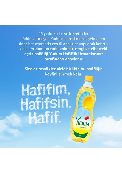 Ayçiçek Yağı 1 LT