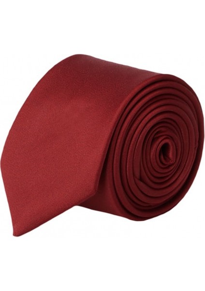 ALTINYILDIZ CLASSICS Erkek Bordo Nano Kravat