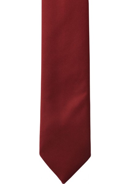 ALTINYILDIZ CLASSICS Erkek Bordo Nano Kravat