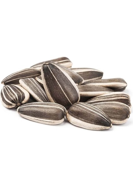 Siyah Ayçekirdeği 500 gr (Çiğ)