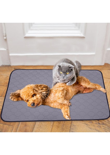 Kapalı Pet Idrar Ped Kullanımlık Kedi Köpek Idrar Su Emici Mat, Boyut M (Yurt Dışından)