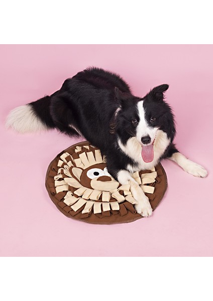 Snuffle Paspaslar Besleme Oyunları, Kediler Köpekleri İçin Doğal Yemek Becerilerini Teşvik Ediyor 50 x 50 cm. (Yurt Dışından) modelleri