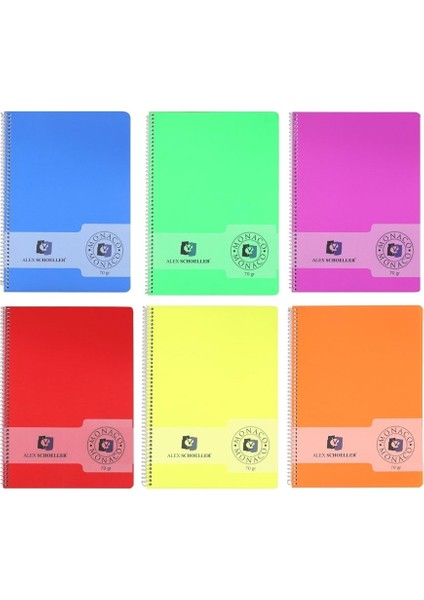 Schoeller Spiralli Pp Kapak Defter A4 60 Yaprak Kareli